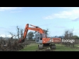 Apple Tree Removed 4 TIMELAPSE 1588